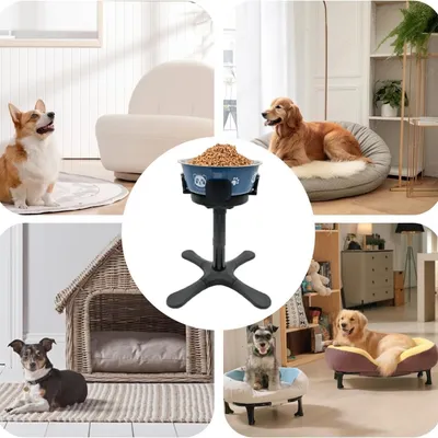 Petopia Support de gamelle surélevée réglable pour chien
