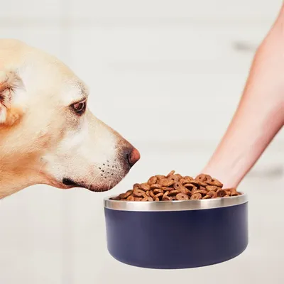 Pet Planet Tazón doble de acero inoxidable de 42 oz para alimentos