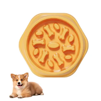 Petopia Gamelle anti - vandalisme pour chien et chat