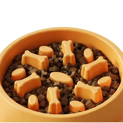 Petopia Gamelle anti - vandalisme pour chien et chat