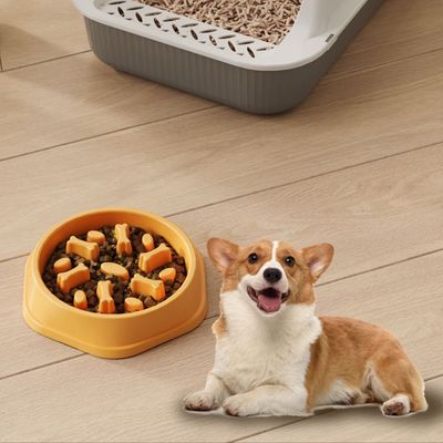 Petopia Gamelle anti - vandalisme pour chien et chat