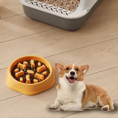 Petopia Comedero antivandalismo para perros y gatos