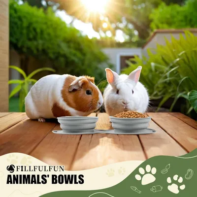 Pet Planet Comedero plegable para perros con alimentación lenta