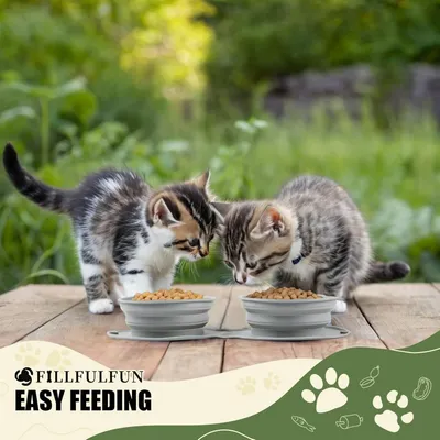 Pet Planet Comedero plegable para perros con alimentación lenta