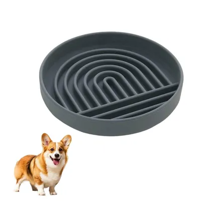 Petopia Gamelle à alimentation lente pour chien