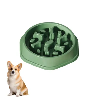 Petopia Gamelle anti - vandalisme pour chien et chat