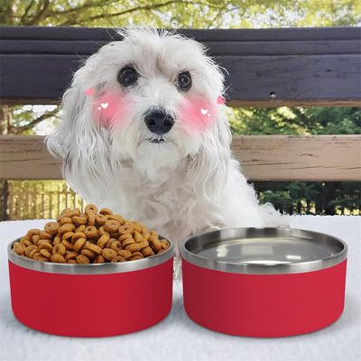 Pet Planet Bol alimentaire en acier inoxydable double 42oz