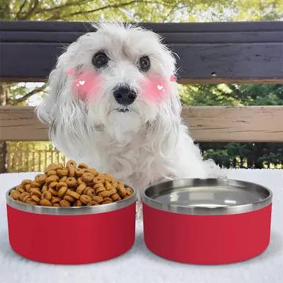 Pet Planet Bol alimentaire en acier inoxydable double 42oz