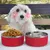 Pet Planet Bol alimentaire en acier inoxydable double 42oz