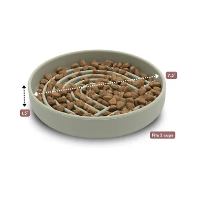 Petopia Gamelle à alimentation lente pour chien