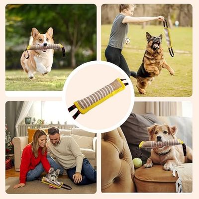 Pet Planet Chiens Jouets Indestructibles