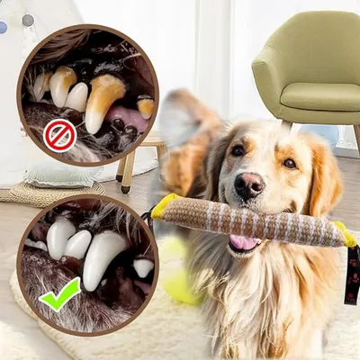 Pet Planet Chiens Jouets Indestructibles