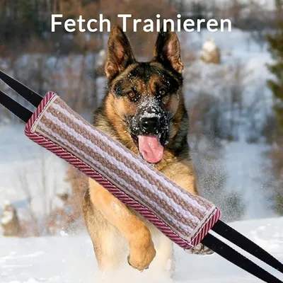 Pet Planet Jouets saucisses à mordre pour chiens