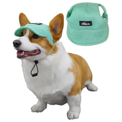 Petopia Chapeau pour chien Petopia Chapeau pour chien