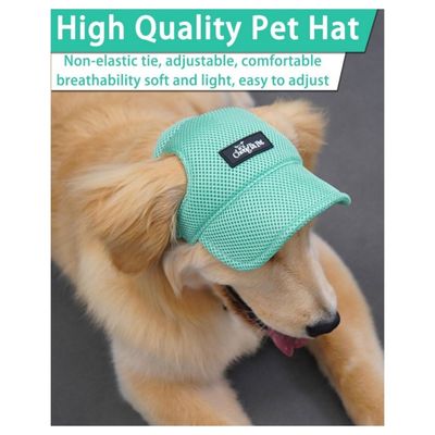 Petopia Chapeau pour chien