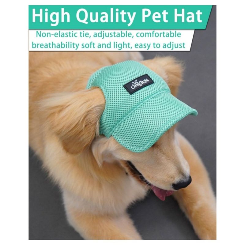 Petopia Chapeau pour chien