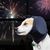 Petopia Écouteurs anti-bruit pour chien