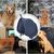 Petopia Écouteurs anti-bruit pour chien