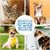 Petopia Tapis rafraîchissant pour chien