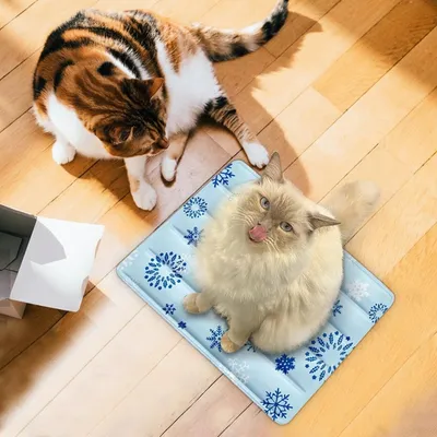 Petopia Tapis rafraîchissant pour chien