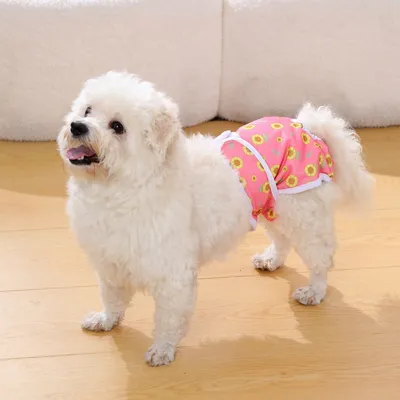 Petopia Couche pour chien femelle lavable