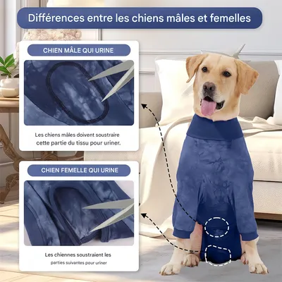 Pet Planet Combinaison de convalescence post - opératoire pour chien