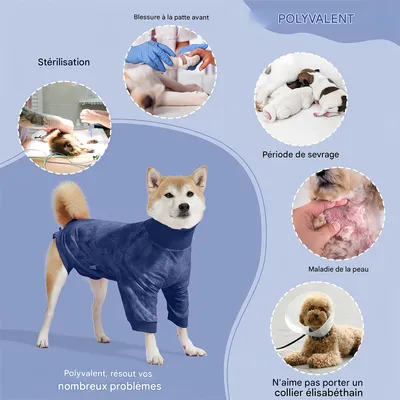 Pet Planet Combinaison de convalescence post - opératoire pour chien