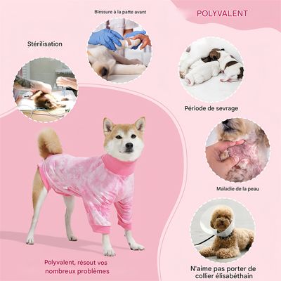 Pet Planet Combinaison de convalescence post - opératoire pour chien