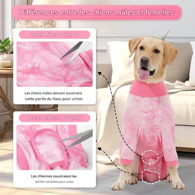 Pet Planet Combinaison de convalescence post - opératoire pour chien