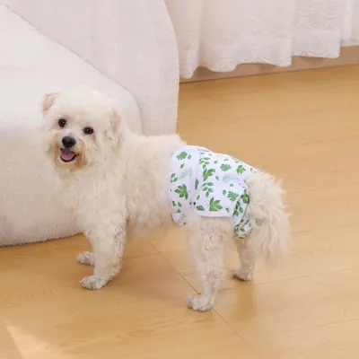 Petopia Couche pour chien femelle lavable