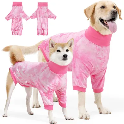 Pet Planet Combinaison de convalescence post - opératoire pour chien Pet Planet Combinaison de convalescence post - opératoire pour chien