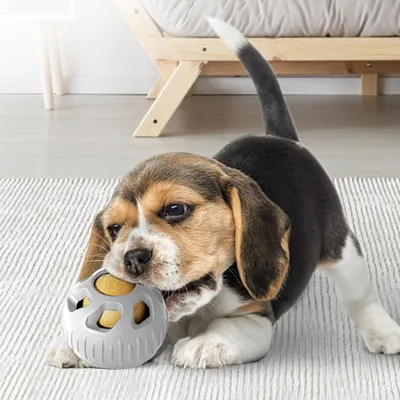 Pet Planet ZooVenture Remplissable Congelable Jouets À Mâcher Pour Chiens