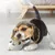 ZooVenture Remplissable Congelable Jouets À Mâcher Pour Chiens