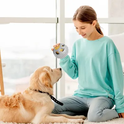 ZooVenture Remplissable Congelable Jouets À Mâcher Pour Chiens
