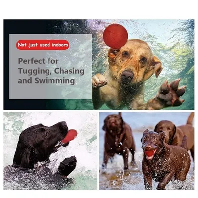 Petopia Jouet en caoutchouc avec corde pour chien