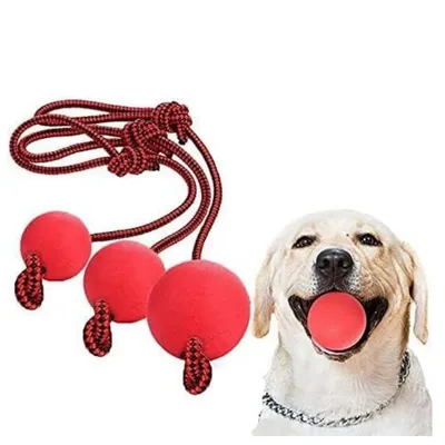 Petopia Jouet en caoutchouc avec corde pour chien Petopia Jouet en caoutchouc avec corde pour chien