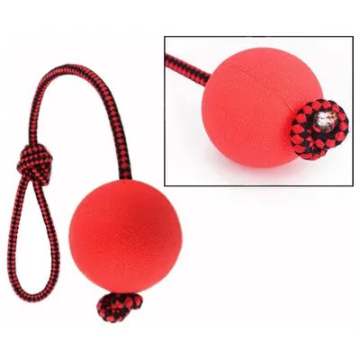 Petopia Jouet en caoutchouc avec corde pour chien