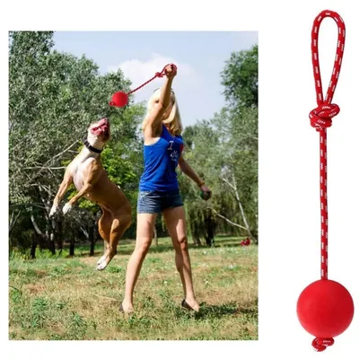 Petopia Jouet en caoutchouc avec corde pour chien