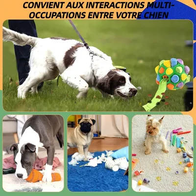 Pet Planet ZooVenture Indestructible Balle À Renifler Pour Chien