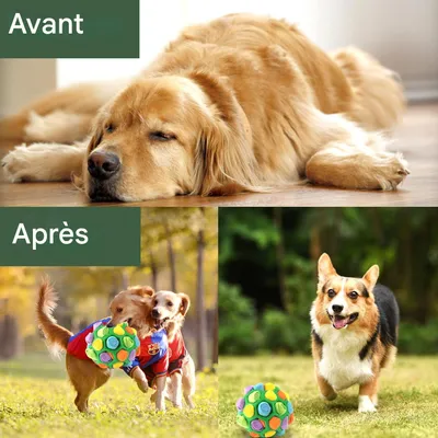 ZooVenture Indestructible Balle À Renifler Pour Chien