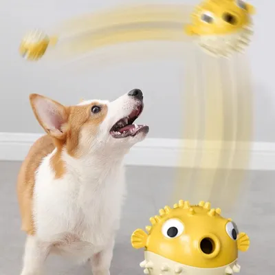 Petopia Jouet distributeur de friandises pour chien