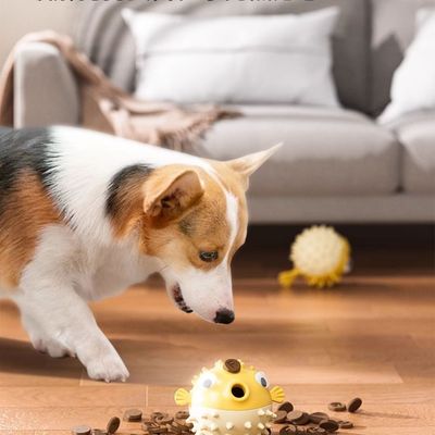 Petopia Jouet distributeur de friandises pour chien
