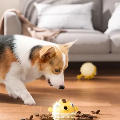 Petopia Jouet distributeur de friandises pour chien