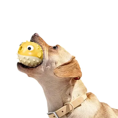 Petopia Jouet distributeur de friandises pour chien
