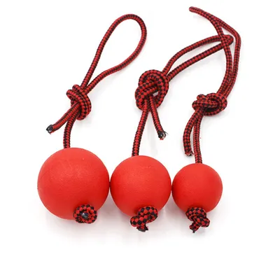 Petopia Jouet en caoutchouc avec corde pour chien