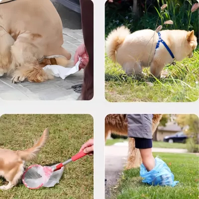 Petopia Sacs à déjections canines