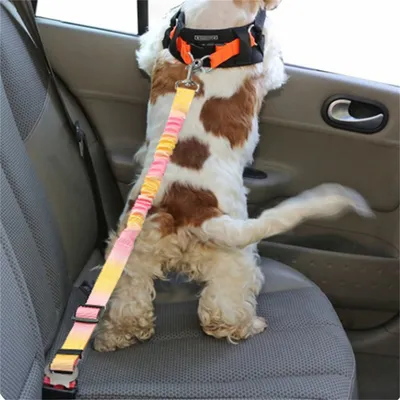 Pet Planet Ceinture de sécurité pour chien en voiture Pet Planet Ceinture de sécurité pour chien en voiture
