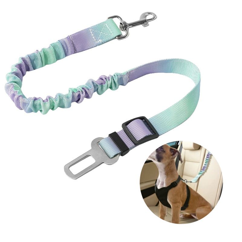 Pet Planet Ceinture de sécurité pour chien en voiture
