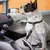 Pet Planet Ceinture de sécurité pour chien en voiture