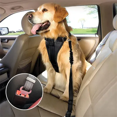 Pet Planet Ceinture de sécurité pour chien en voiture
